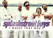 Parody album cover for I Water That Way, a parody of the Backstreet Boys "I Want It That Way."
