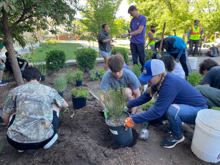 A group of students plant shrubs and grasses