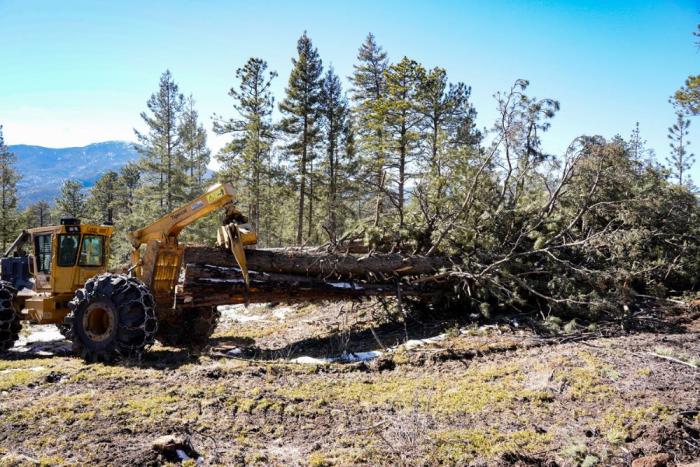 Heavy equipment drags trees away