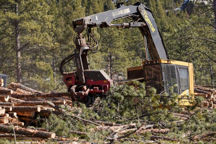 Heavy equipment stacks trees in piles