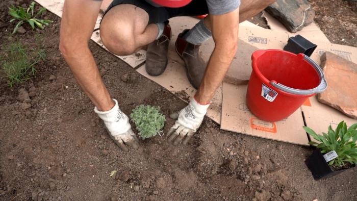 Person digs a hole for a new plant