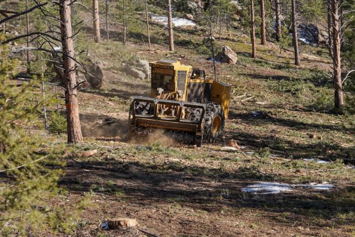 Heavy equipment mows over area where trees have been removed