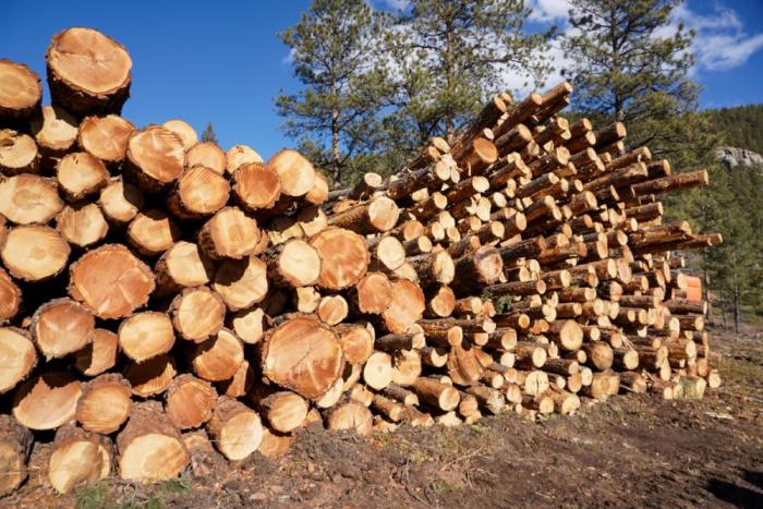 Giant pile of stacked logs
