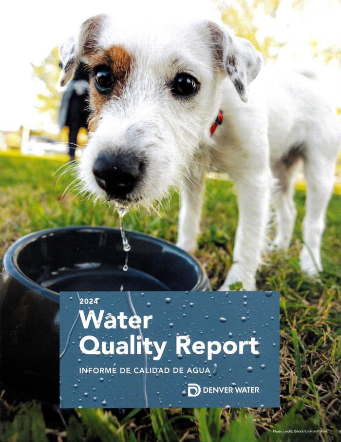 The cover of Denver Water's 2024 Water Quality Report, showing a cute brown and white terrier dog drinking out of a water bowl, with water dripping from his chin.