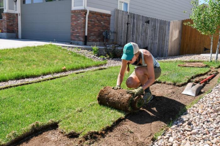 A person rolling up a strip of green grass turf for removal.