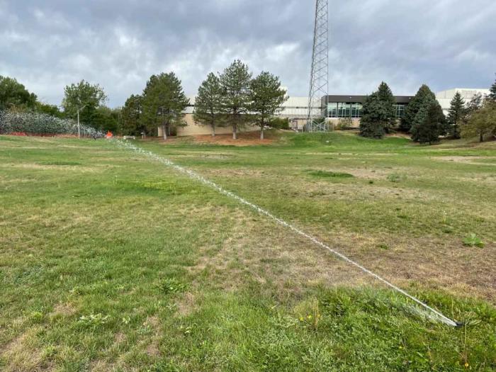 A sprinkler waters grass