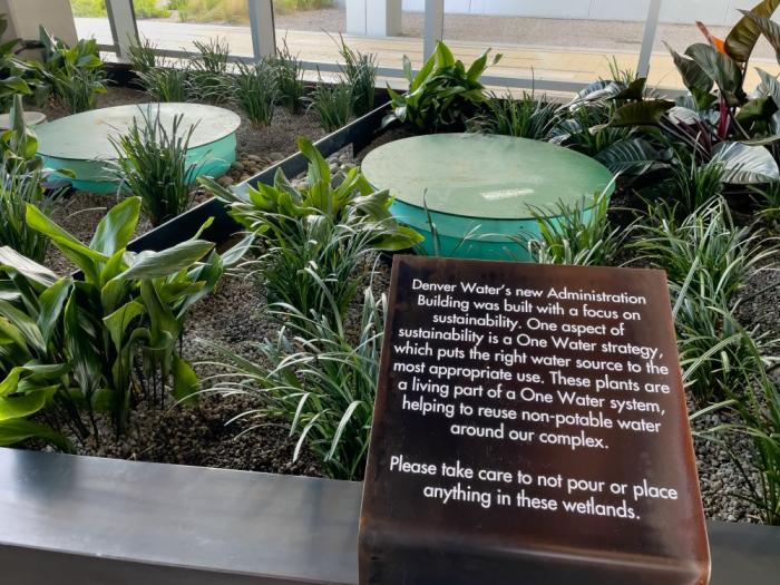 Green plants surround a sign