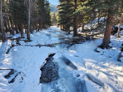 A creek runs through a forest, surrounded by glistening snowbanks and dark trees.