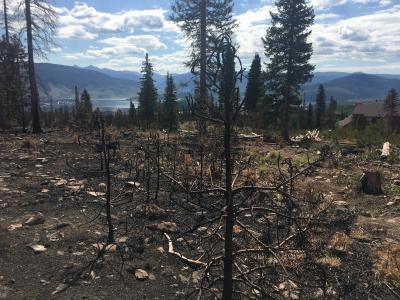 The burn scar from the Buffalo Fire, which burned 73 acres, near Dillon Reservoir in June 2018.