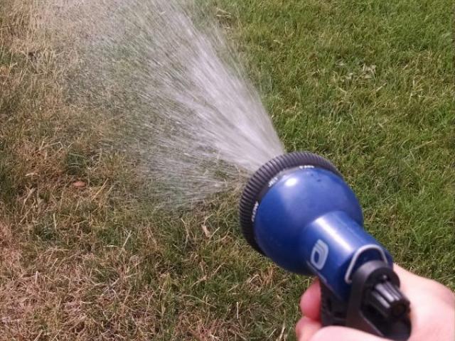 use nozzle to water brown spots.